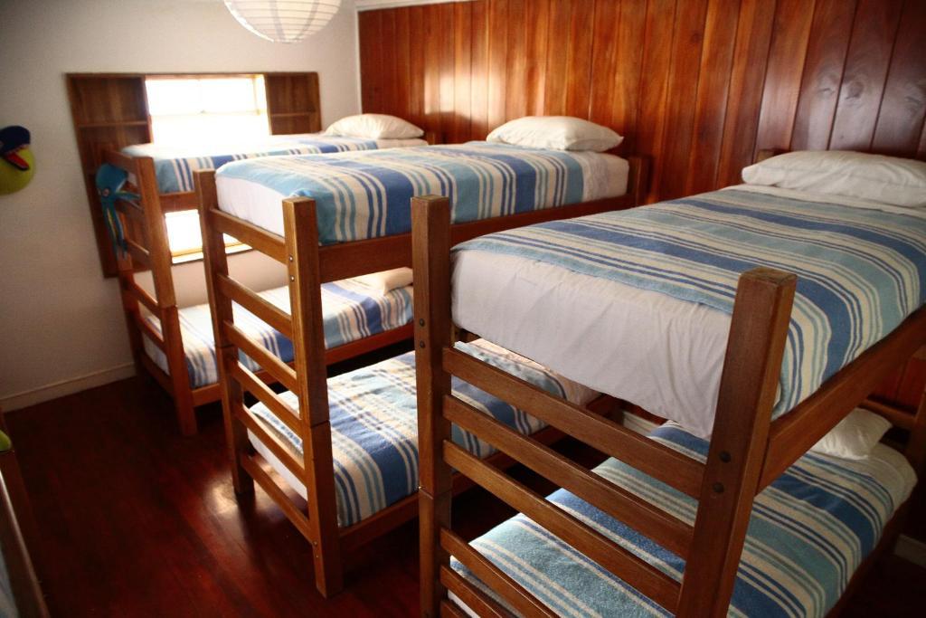 Buddha Hostel Medellin Room photo